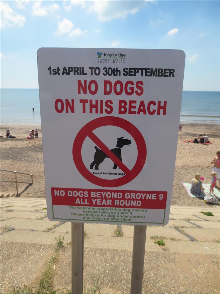 NO DOGS ON BEACH